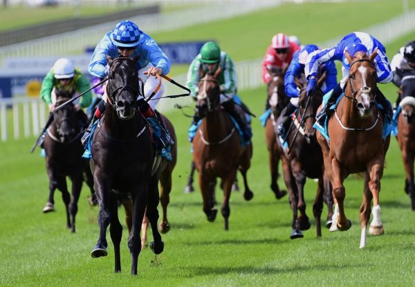 Tinas Indian (Calyx) Wins On Debut At The Curragh