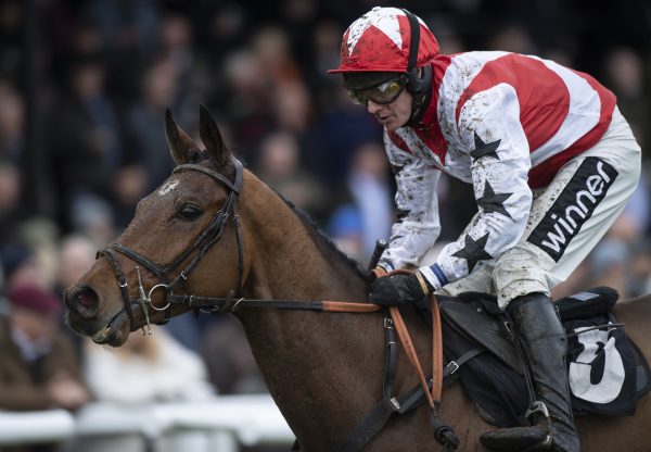 Top Man Wins (Milan) wins the maiden hurdle at Plumpton