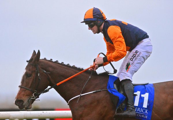 Tucanae (Yeats) Wins Her Bumper At Limerick