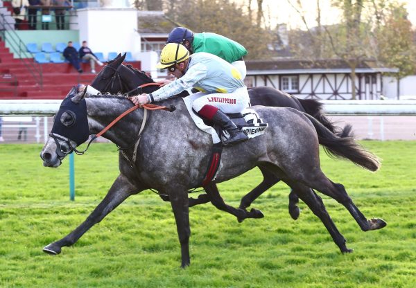 Uncheckable (Maxios) Wins The Grade 3 Chase At Compiegne