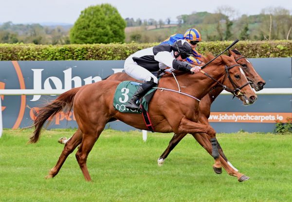 Unexpected (Starspangledbanner) Issues Wins On Debut At Navan