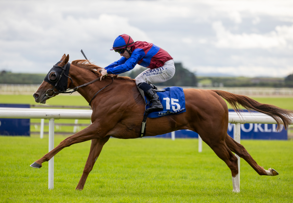 Unless (Justify) Wins The Listed Michael John Kennedy Memorial Stakes at the Curragh