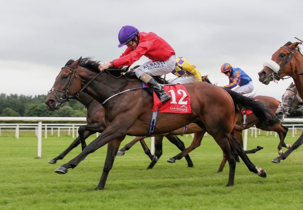 Valeria Messalina (Holy Roman Emperor) Wins The Brownstown Stakes at Cork