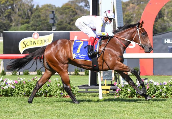 Vandoula Lass (Vancouver) winning at Sandown