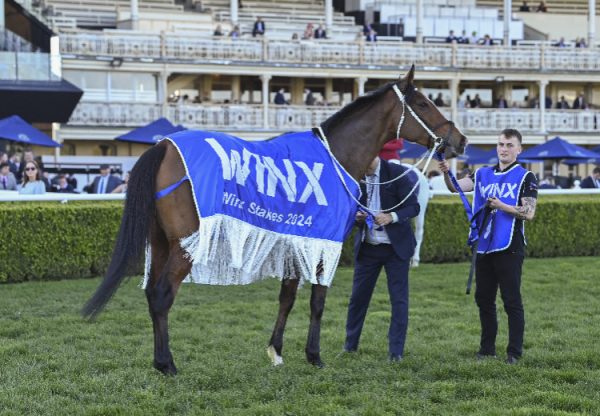 Via Sistina (Fastnet Rock) Winx Rug 750