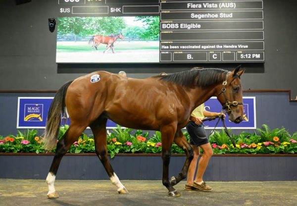 Wootton Bassett X Fiera Vista yearling colt selling for $1.6 million at the Magic Millions