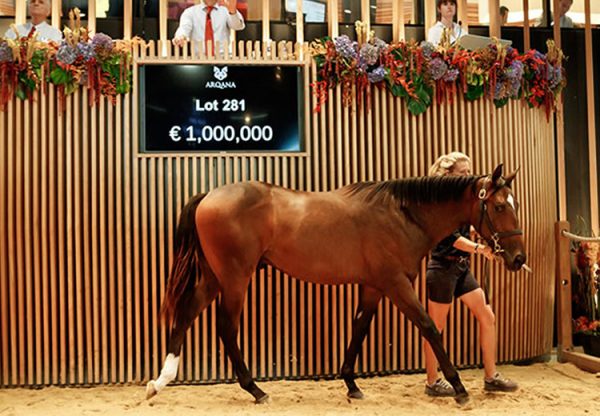 Wootton Basset ex. Magic America yearling colt selling for €1 million at Arqana