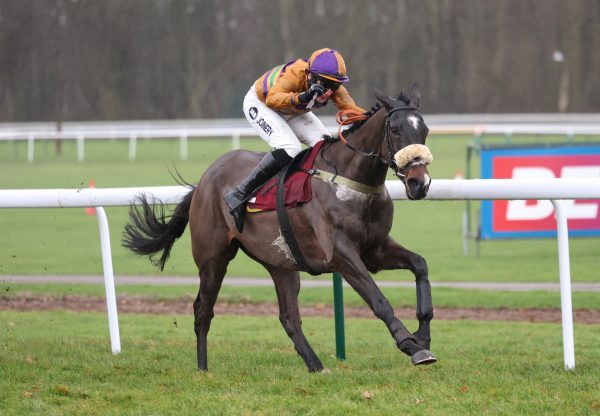 War Soldier (Soldier Of Fortune) Wins The Novices Hurdle At Haydock