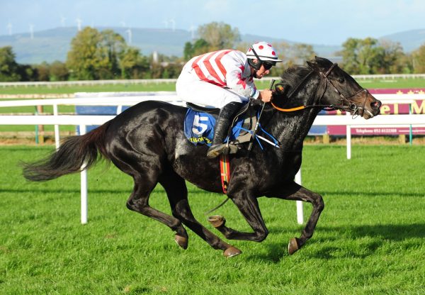West Cork Becomes The Latest Winner By Yeats