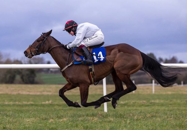 West End Victory (Westerner) Wins Bumper On Debut at Thurles