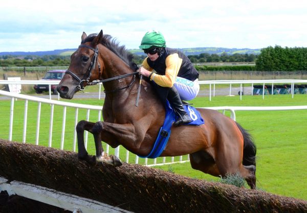Western Victory (Westerner) Wins Beginners Chase At Roscommon