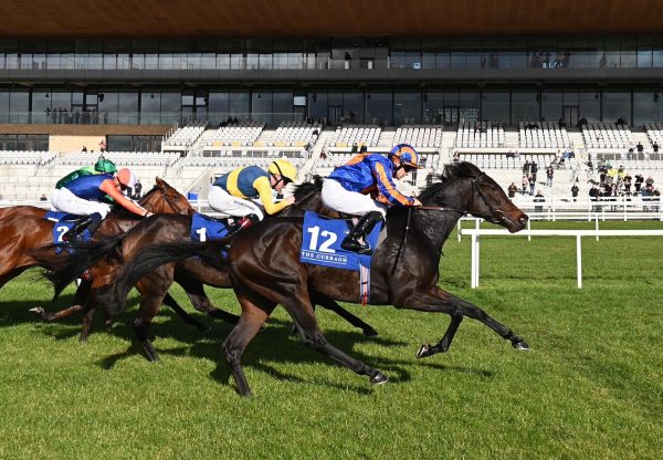 Whirl (Wootton Bassett) Wins The Group 3 Staffordstown Stud Stakes