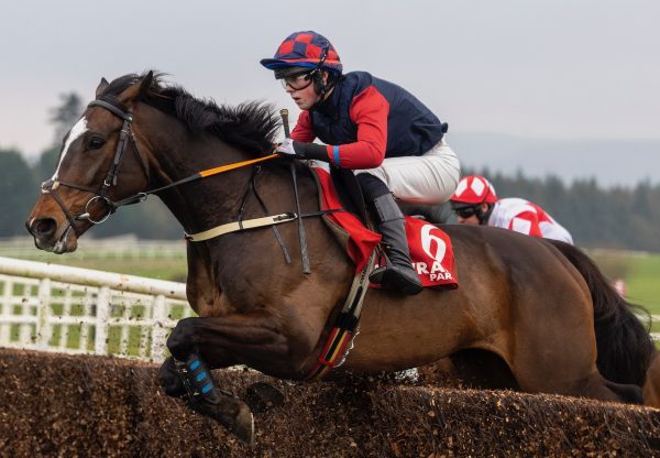 Whiskeywealth (Yeats) Wins The Listed Chase At Gowran