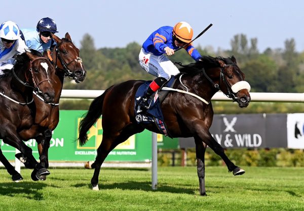 William F Browne (Arizona) Wins His Maiden At Naas