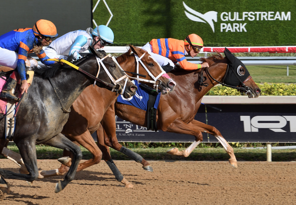 Windy Walk Munnings Wins Rampart