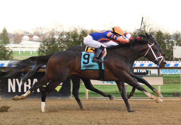 Wit (Practical Joke) wins Gr.3 Bay Shore Stakes at Aqueduct