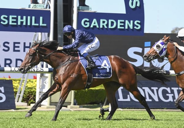 Yaletown (Westerner) winning the Gr.2 Tulloch Stakes at Rosehill