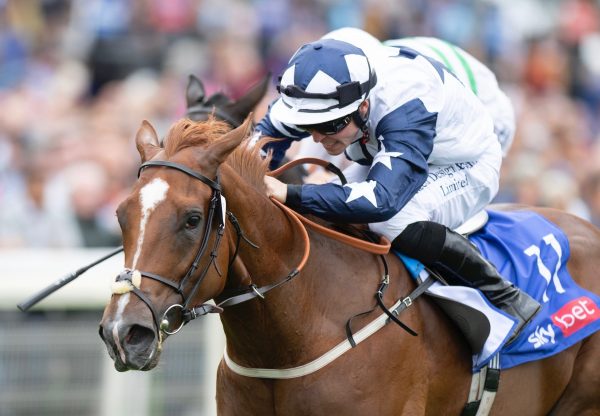 Zain Claudette (No Nay Never) Lands The Group 2 Lowther Stakes at York