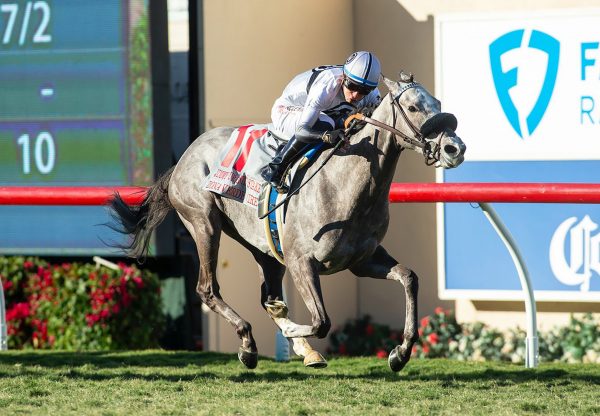 Zona Verde (Calyx) wins the Grade 3 Jimmy Durante Stakes at Del Mar