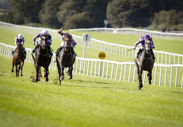 Capri winning the Gr.2 Beresford Stakes at the Curragh