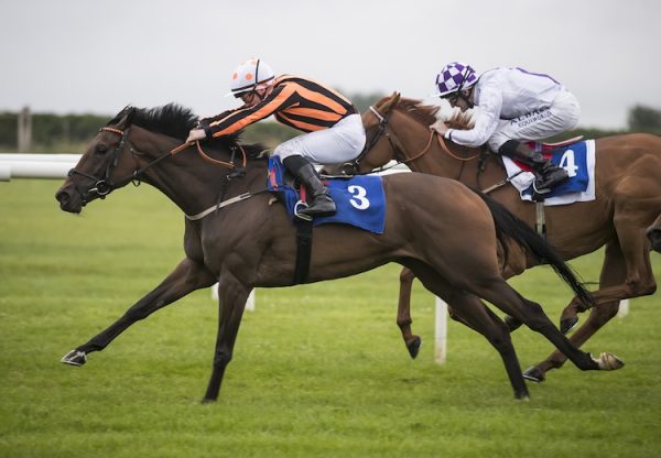 Flying Fairies (Holy Roman Emperor) winning the Listed Lenebane Stakes at Roscommon