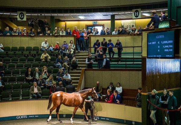 Galileo ex Sent From Heaven selling for €1.2 million at the Goffs Orby Sale