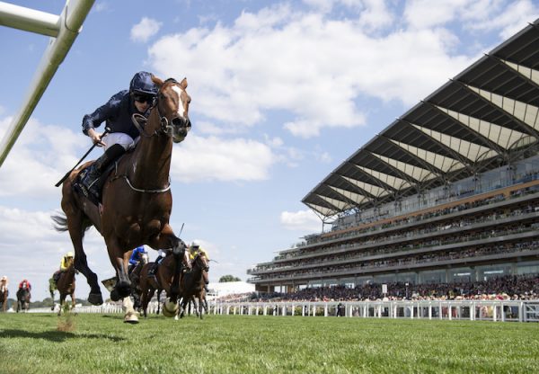 Hunting (Horn (Camelot) winning the G3 Hampton Court Stakes at Royal Ascot