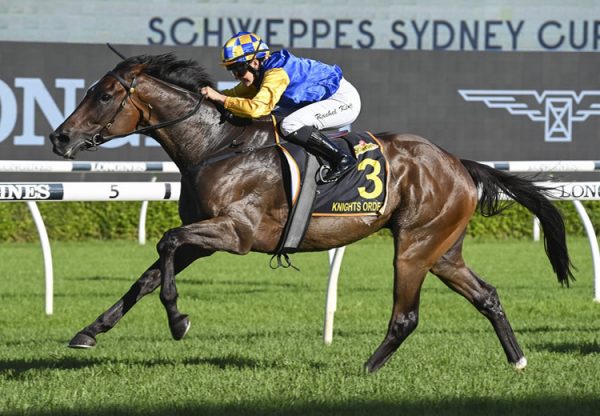 Knights Order (So You Think) winning the Gr.1 Sydney Cup at Randwick