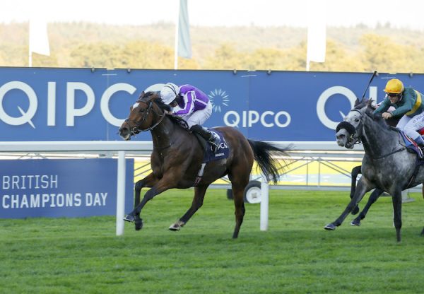 Magical (Galileo) winning the G1 British Champions Fillies & Mares Stakes at Ascot