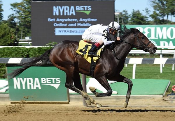 Mo Town (Uncle Mo) winning his maiden at Belmont Park