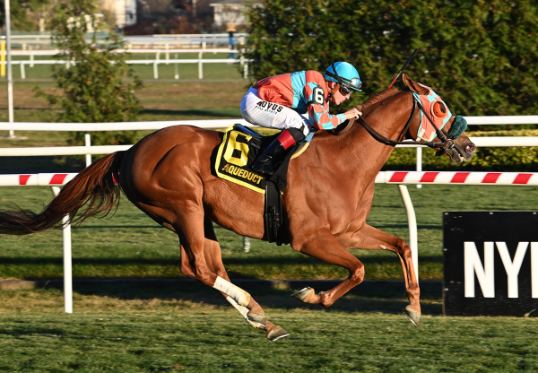 Nothing Better (Munnings) Wins The Aqueduct Turf Sprint