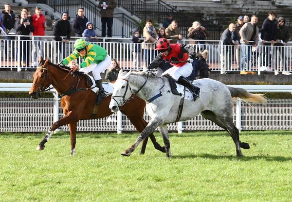 Park Light (Walk In The Park) winning a Listed hurdle at Auteuil