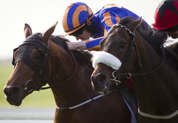Port Douglas (Galileo) winning the G2 Beresford Stakes at the Curragh