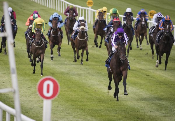 Ten Sovereigns (No Nay Never) winning a maiden at the Curragh