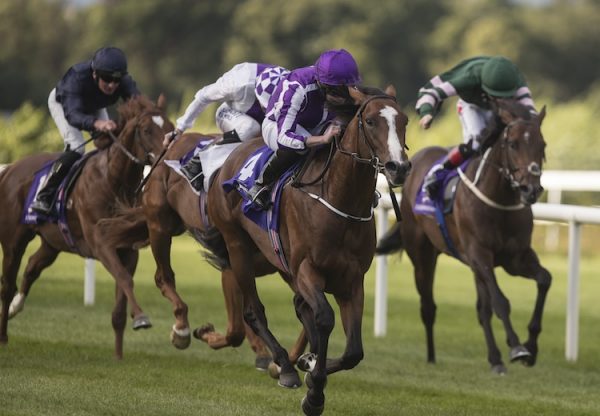 The Pentagon (Galileo) winning the G3 Tyros Stakes at Leopardstown