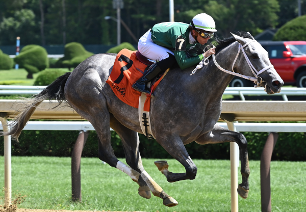 Tiz Purple (Tiz The Law) Wins Saratoga Msw