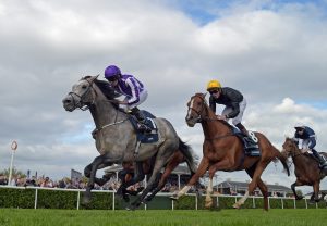 Capri St Leger