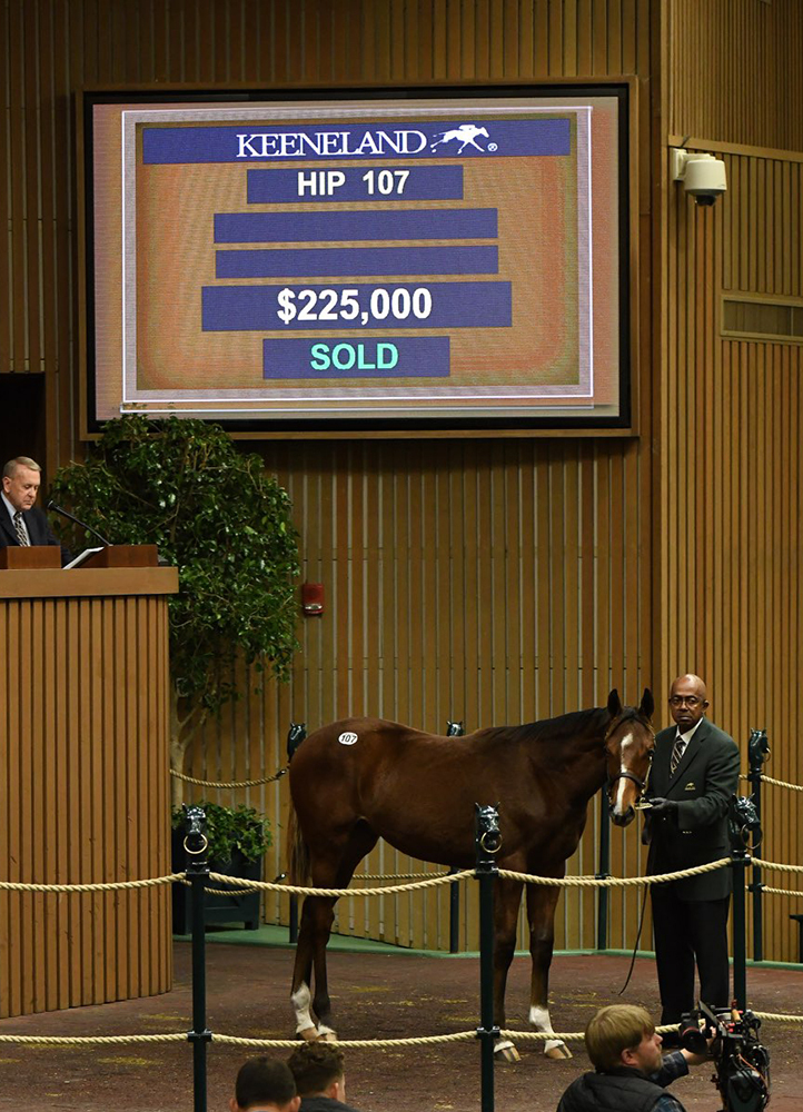 hip-107-Classic-Empire-x-Super-Divine-KeeNov-ring.jpg#asset:20596